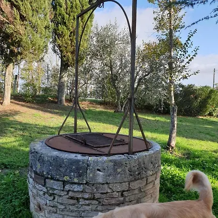 Podere Il Poggio *